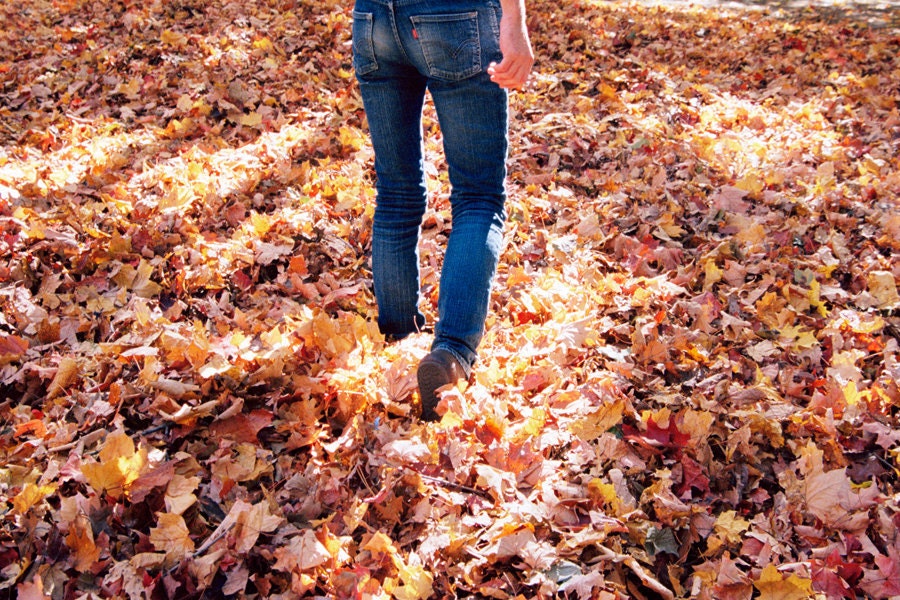 Autumn Walk - 8x12 Fine Art Photographic Print