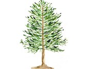 Pine Tree Print of original watercolor painting ,woodland, Holiday Christmas wall decor, pine green , nature, limited edition, - TheJoyofColor