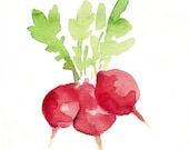 Small Radishes Archival print of watercolor painting in red and green , limited edition , fresh market, kitchen art
