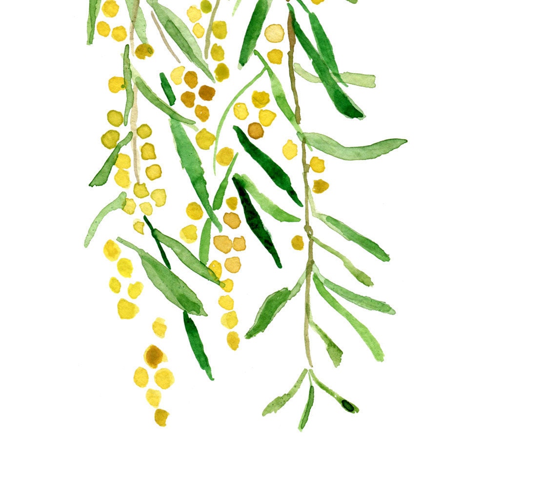 Mimosa print of original watercolor painting ,Yellow and green, tree, Botanical. cottage chic, wall decor, summer, fresh, limited edition