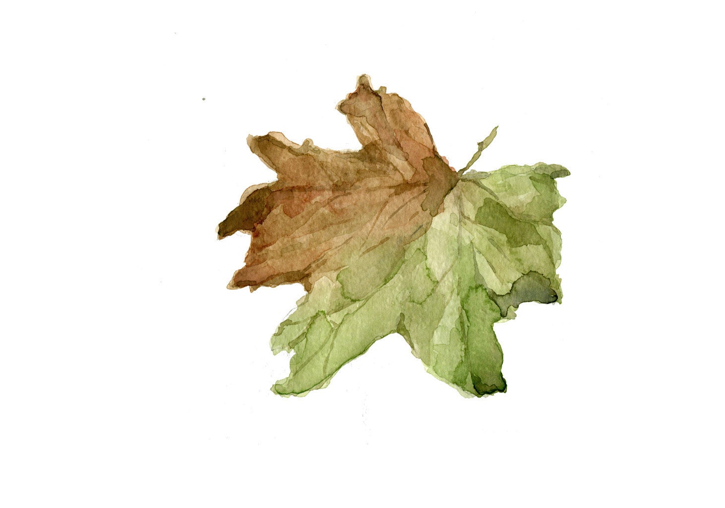 Fall Leaf ,art print of  original watercolor painting,  dried leaves in brown and green, home decor, natural history ,Indian summer