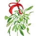 Mistletoe Art print of original watercolor painting ,Christmas bouquet with Red ribbon, Holiday wall decor,Limited edition