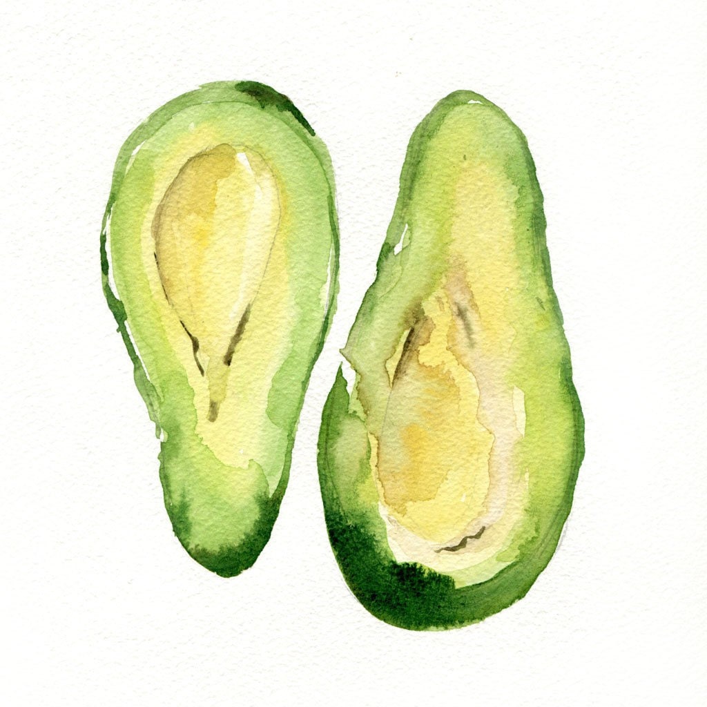 Avocado Art Print of my original watercolor painting Botanical limited edition Peridot green Avocado green, kitchen decor