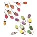 Acorns colors of fall art Print of my original water color painting in autumn hues limited edition, woodland , colorful, limited edition