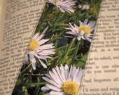 Daisies Photo Laminated Bookmark