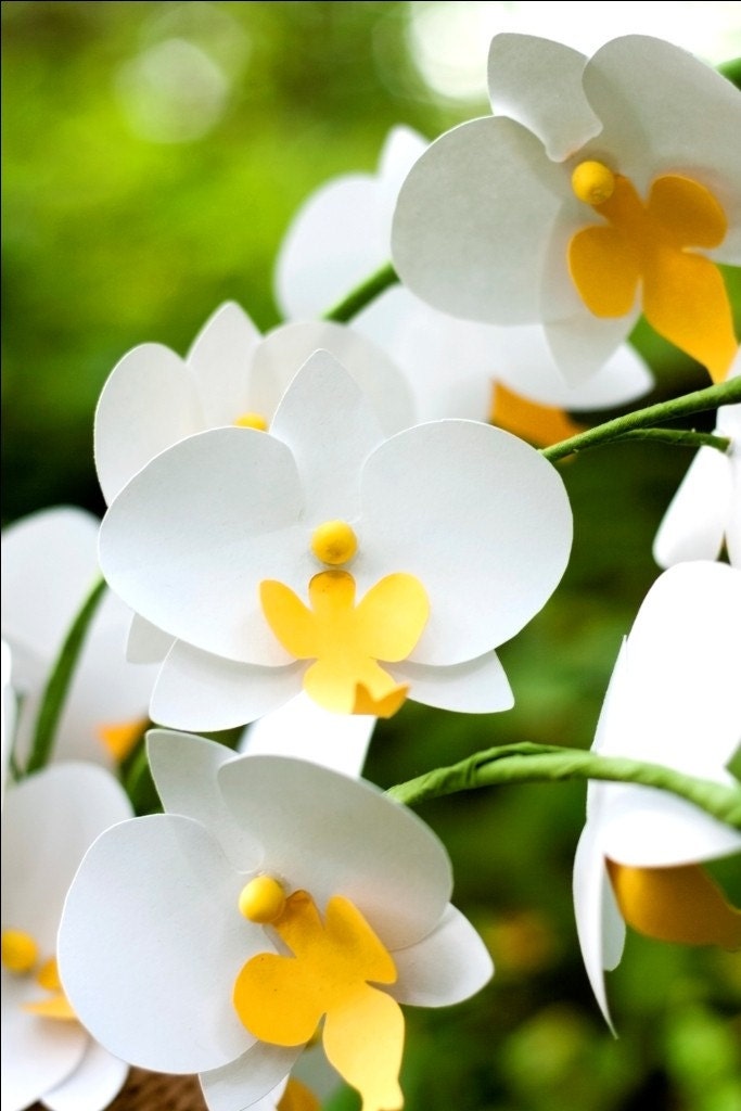 phalaenopsis (moth) orchid spray - large, cardstock - handmade paper flowers for gift, wedding, or home decor
