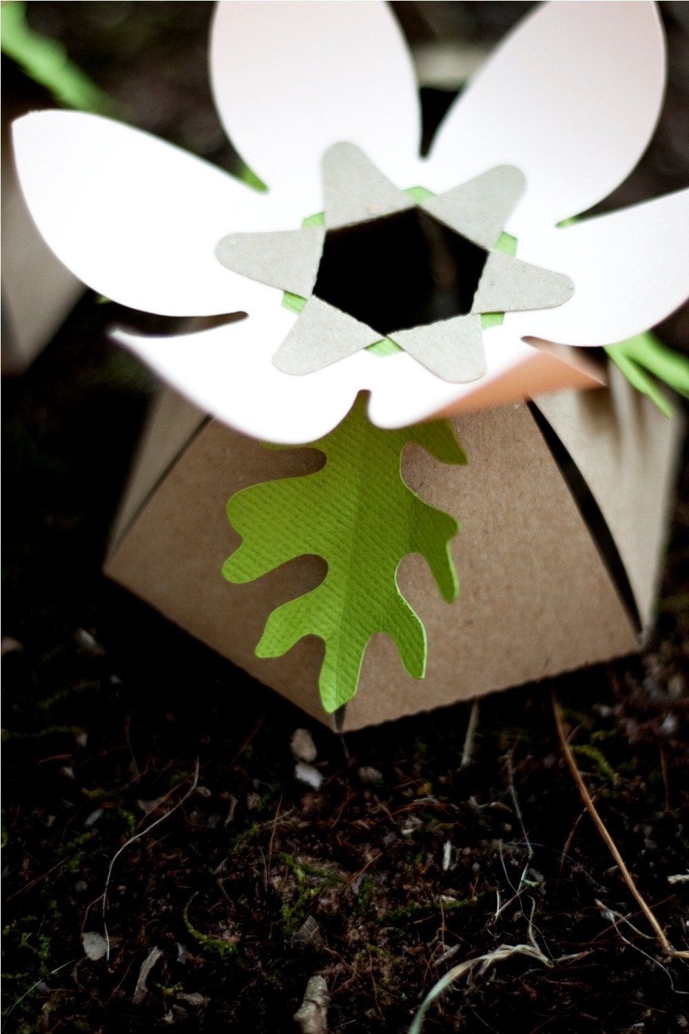 OAK LEAF confetti - decorate, toss, or fill an envelope - eco friendly