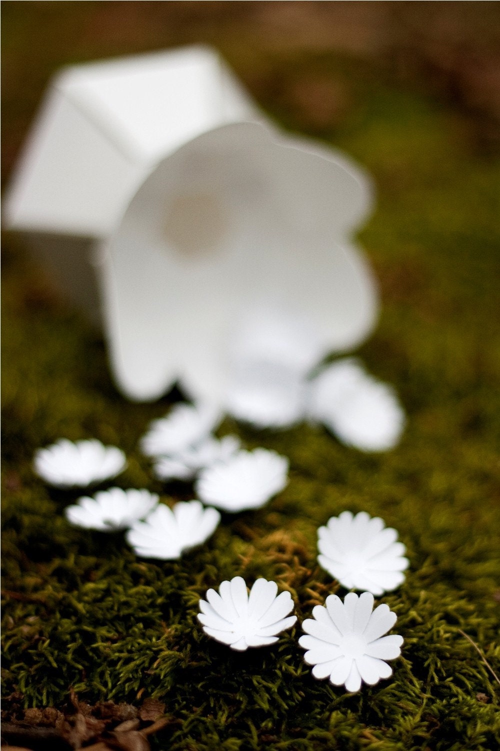 daisy confetti - decorate, toss, or fill an envelope - eco friendly