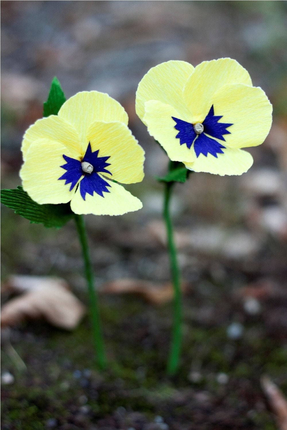 paper pansies -  paper flowers for gift, wedding, or decor