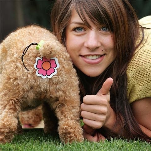 Rear Gear.  Butt Covers for your Cat and Dog...