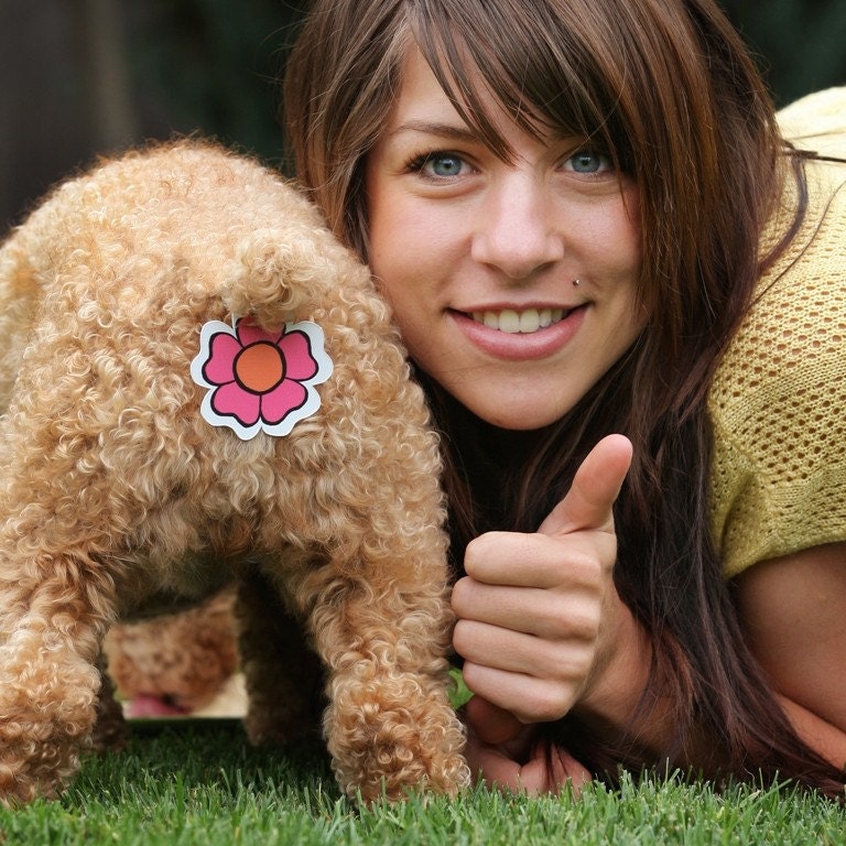 Rear Gear. Butt covers for your cat and dog...