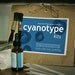 Cyanotype Photographic Printing Kit