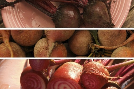 Organic Beet Seed Trio - Bulls Blood - Golden Detroit - Chioggia Striped - Free Shipping