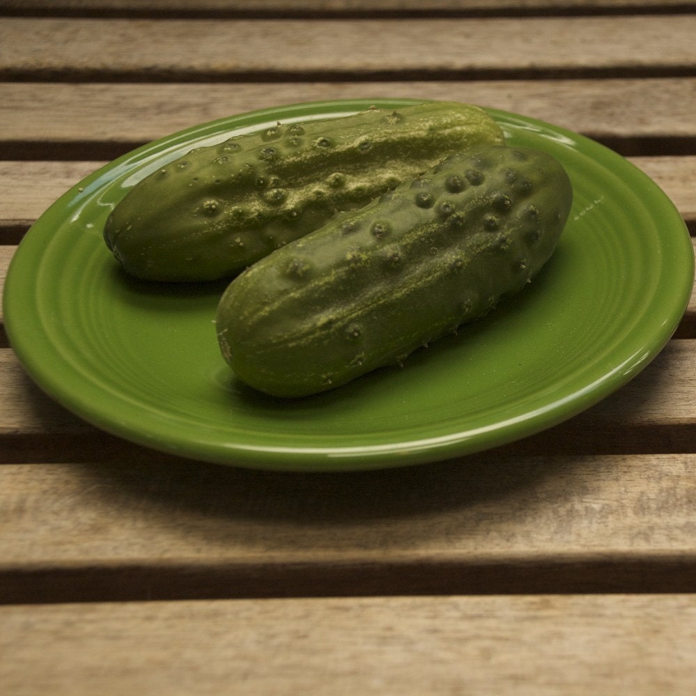 Organic Pickling Cucumber Seeds - A and C Cuccumber