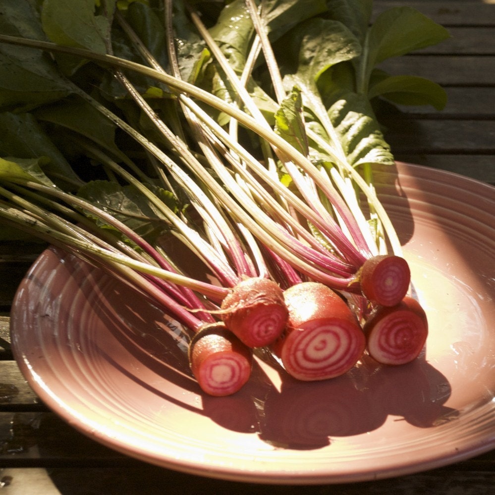 Chioggia Beets - Organic Striped Chioggia Beet Seeds