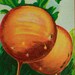 Organic Parisian Carrot Seeds - Round Orange Heirloom Carrots