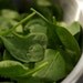 Organic Bloomsdale Spinach Seeds
