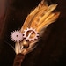 Gear and Sprocket Boutonniere Corsage, Steampunk