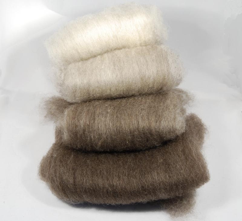Brown to Fawn Shetland Ombre Batts - 4 ounces