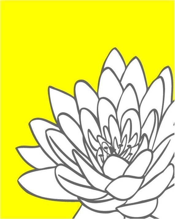 Yellow Gray Chrysanthemum Flower  - 8x10 Print