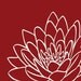 Red Chrysanthemum Flower  - 8x10 Print