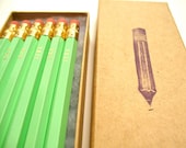 PENCILS (6) JERK - mint green - graphite hex pencils w/ kraft pencil box