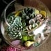 A Collection Of 12 Succulent Plants, Great For Terrarium Projects, Living Walls, Party Favors