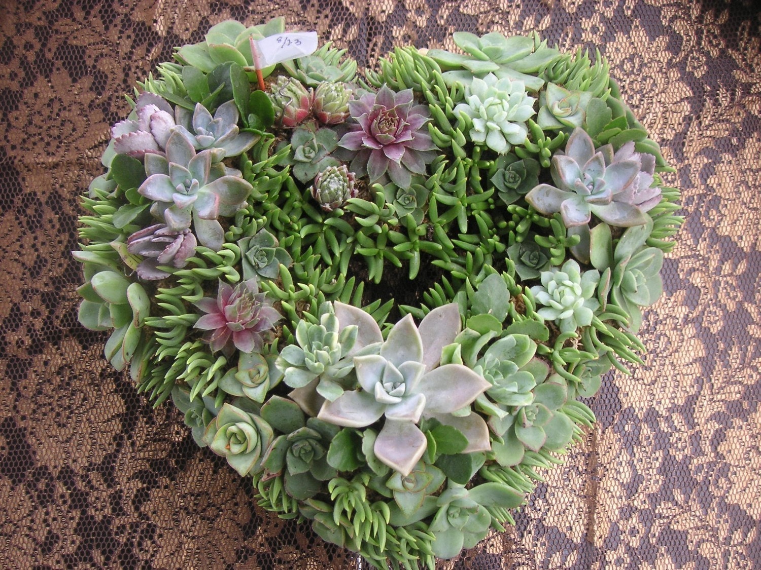 Beautiful Succulent Wreath, Centerpiece , Perfect For Weddings, Garden Parties, Centerpiece, Home Decor and More, Immediate Delivery