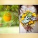 Beautiful Succulent Wreath, Centerpiece , Perfect For Weddings, Garden Parties, Centerpiece, Home Decor and More, Immediate Delivery