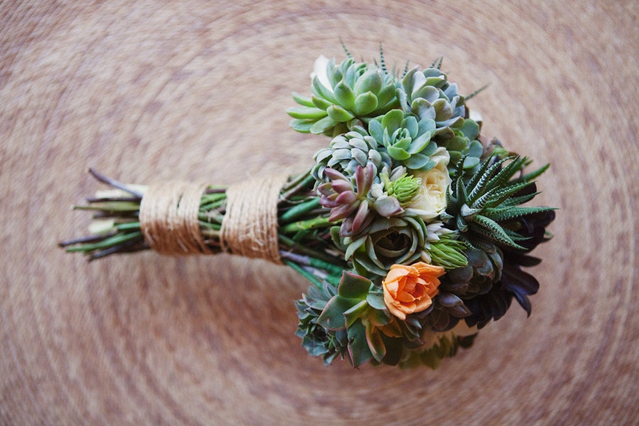 A Collection of 24 Succulents Cuttings, Dish Gardens, Terrariums, Great For Bouquets, Boutonnieres And Table Decor