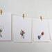 sale four seasons collaboration print