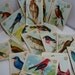 1915 Victorian Trade Cards - Complete Set of 30