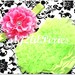 Ruffle Bum baby Bloomers- Chiffon Ruffle Bum Diaper Cover -photo prop- 20 great colors to choose from- Ready To ship