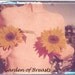 Garden of Breasts with sunflowers- photo art magnet