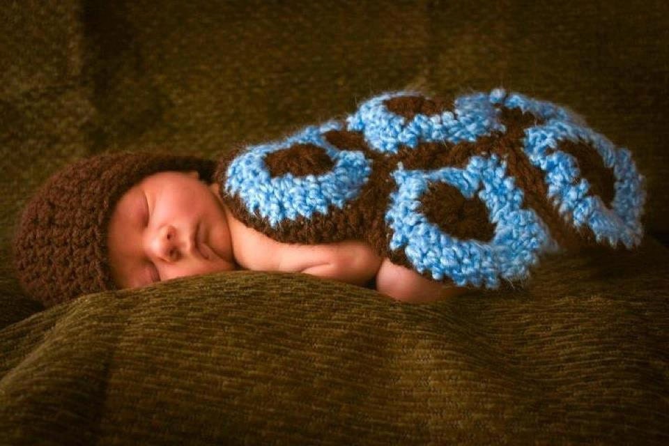 Crochet Turtle Pattern