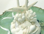 Beach Wedding Cake Topper with Starfish, Shells and Coral