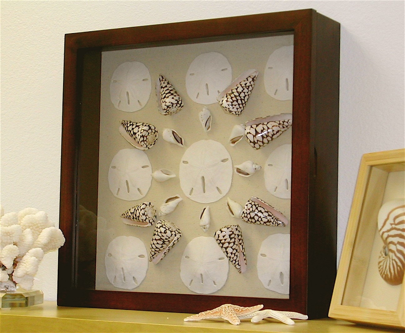 Beach Decor Shadow Box with Seashells and by SeashellCollection