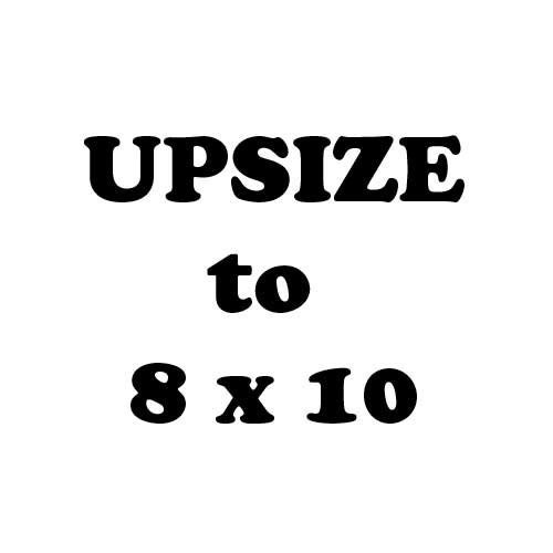 UPSIZE Print from 5 x 7 to 8 x 10