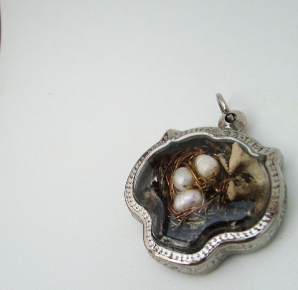 Oh Hummingbird Terrarium Locket Necklace Mini Curio Display Natural World