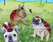 French Bulldog Bouledogue Francais Art Print from Original Painting Dasha Goux
