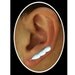 Stud Earrings Sterling Silver Jewelry Feather Design