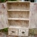 Artistic Furniture - Storage Shelves, Cabin Decor - French Country Chic - Tree Art