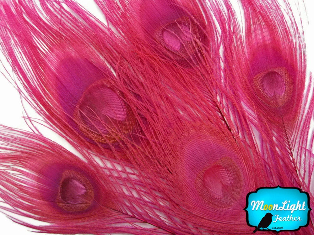 Peacock Feathers, 5 Pieces- HOT PINK Bleached and Dyed Tails with Full Eyes Peacock Feathers: 266