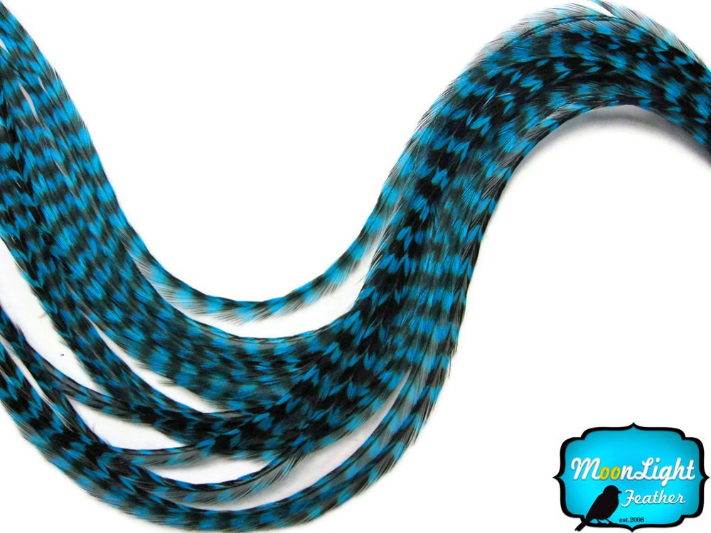 Hair Feathers, 10 Pieces - KINGFISHER BLUE Thin Long Grizzly Rooster Hair Extension Feathers : 204