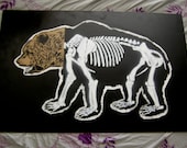 Bear Skeleton Anatomy HUGE 40.5" x 26.5" Spray-Painted on Recycled Wood READY to HANG