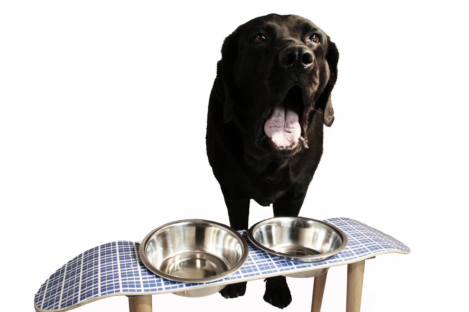 Raised Pet Feeder - Painted Skate Deck - Gift For Pet Lover - Dog - Cat - Gift Ideas - Blue Plaid Skate Pet Feeder