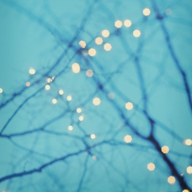 Twinkle Lights, Bare, Branches, Gold and Blue Decor - Twinkle Twinkle 8x8