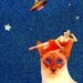 siamese cat,cat portrait,charming,blue sky,asian,pet collage,home decor,tagt team,cat art,pet art