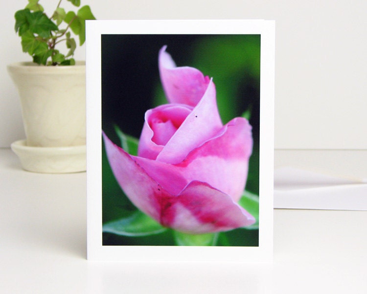 Floral Photography Note Card, Pink Rosebud Mary Rose, flower photo blank notecard all occasion stationery