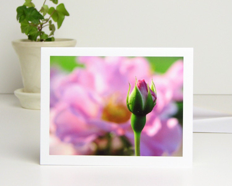 Pink Rosebud Flower Photo Note Card, Royal Edward Rose, blank notecard soft pink floral photography all occasion stationery